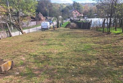 Casă cu 3 camere în Central - 1