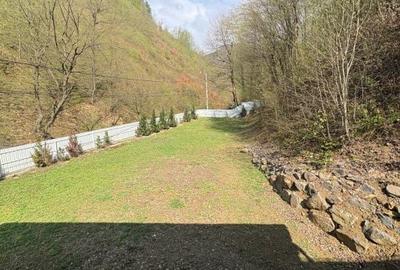 Casă cu 5 camere decomandat cu Teren 4700 Mp în Valea Roșie - 7