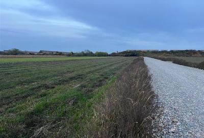 Teren frumos Cihei 500 mp Teren frumos Cihei 500 mp - 2