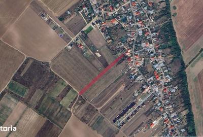 Teren de 3600 mp, în Cernica - 1