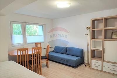 Apartament 2 Camere, de Inchiriat, Lacul Ro?u, Rogerius... - 10