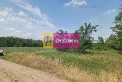 Teren de 12620 mp, în Săbăreni - 2