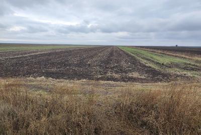 Teren de 12000 mp, în Văceni - 3