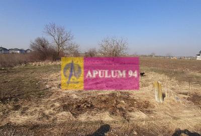 Teren investitie Ilfov - 1