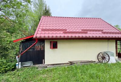 Vila vacanta Cheia - Prahova, pretabila pentru investitie - 37