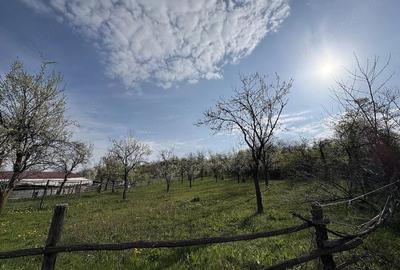 Teren de 5200 mp, în Măncioiu
