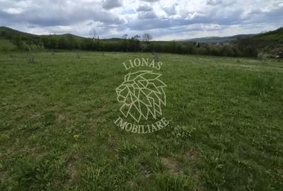 Teren de 24000 mp, în Galații Bistriței - 4