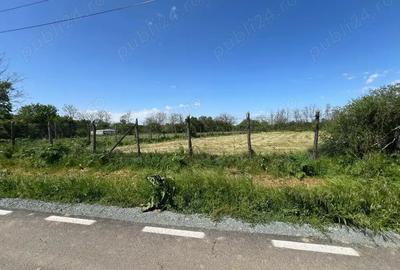 Teren de 1424 mp, în Bărcănești - 10