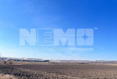 Vanzare I Teren I Suceava/Stroiesti I 100 ARI 2999 Euro/Ar - 11