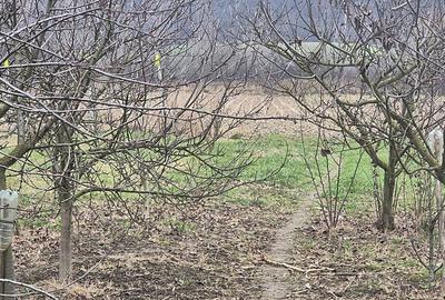 Casă cu 2 camere în Bogei