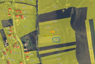 Teren agricol extravilan de 9000 mp, în Baciu - 1