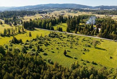 Teren Construcții intravilan de 12743 mp, în Șaru Dornei - 23