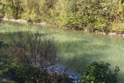 Teren de 7178 mp, în Frătăuții Vechi - 6