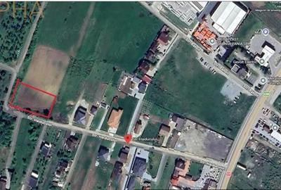 Teren de 1700 mp, în Viișoara - 1