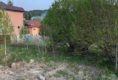Teren de 1400 mp, în Izvoru Mureșului - 6