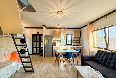 Vila duplex Pantelimon - 27