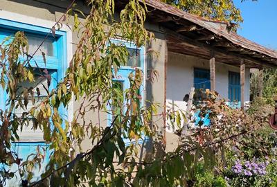 Intravilan sosea - 4