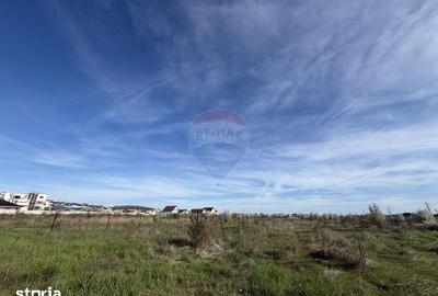 Teren de 4862 mp, în Bordei - 14