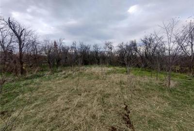 Berliste, Casa pt 2 Familii, la Sosea, Pret Negociabil - 16