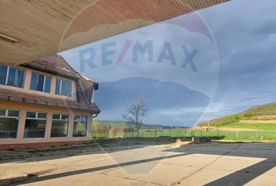 Spațiu comercial, de 400 mp, în Dupuș - 1