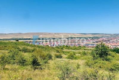 Teren Intravilan, 19400mp, zona locuinte colective/blocuri, zona Terra Floresti - 1