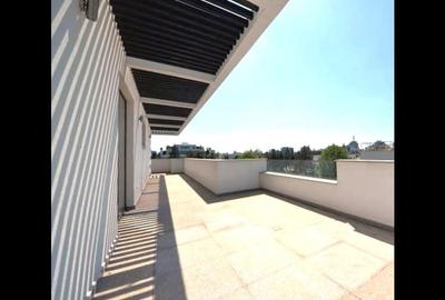 Penthouse spectaculos Primaverii - Palatul Ceausescu