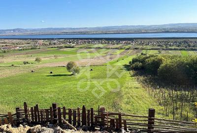 Teren extravilan de 4045 mp in zona Tileagd - 1