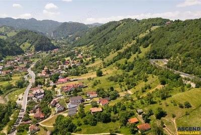 Deschidere spre crestele alpine+ documentatie turistica,4.400 mp de inspiratie naturala - 4