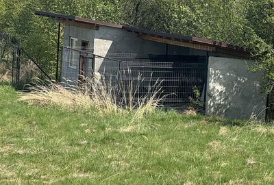 Teren de 4542 mp, în Sâmbăta de Sus - 7