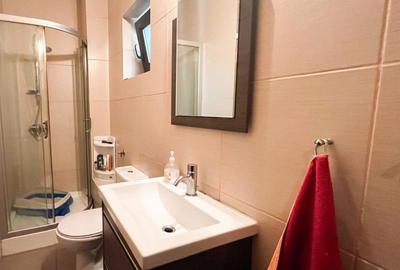 Vila Individuala P+1+M | 5 camere | 2 bai | Metrou Paris | Liceul Francez - 6