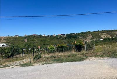 Teren de 4251 mp, în Dealuri Oradea