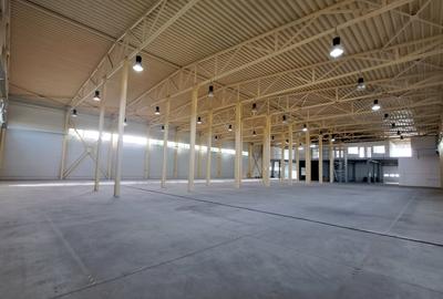 HALA DEPOZITARE CU ETAJ PARTIAL PENTRU BIROURI AMPLASAMENT: OTOPENI - 42