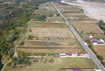 Teren Comuna Bolotesti - 5