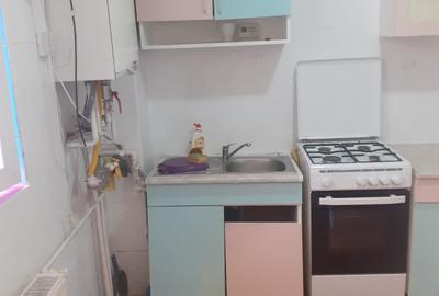 Vatra Luminoasa,la curte,parter inalt/1,Amenajat,centrala,Pets Friendly - 7