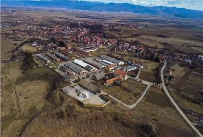 Teren Construcții extravilan de 120000 mp, în Boroșneu Mare