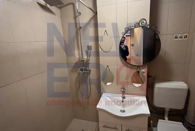 Apartament cu 2 camere de inchiriat zona Dr. Iacob Felix - 9