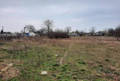 Casă cu 1 camere în Vadu - 2