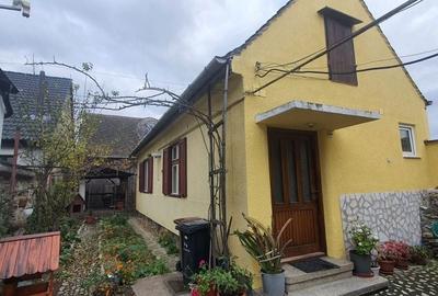 Casă cu 2 camere în Lotrioara - 6