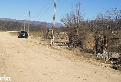 Teren de 2338 mp, în Bălești - 3