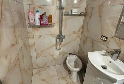 Apartament cu 2 camere, mobilat în Șagului