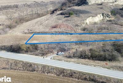 Teren de 2000 mp, în Moșna - 4