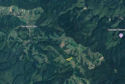 Teren de 15090 mp, în Saca