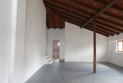 Casa parter plus Mansarda zona Ultracentrala, teren 550mp - 12