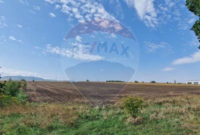 Teren Construcții intravilan de 4874 mp, în Nord - 5