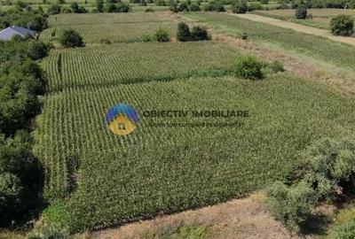 Teren de 3866 mp, în Izvoare (Dumbrava Roșie) - 4