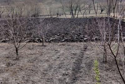 Casă cu 2 camere în Stroiești - 2