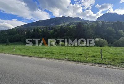 Teren intravilan Zarnesti Plaiul Foii - 13