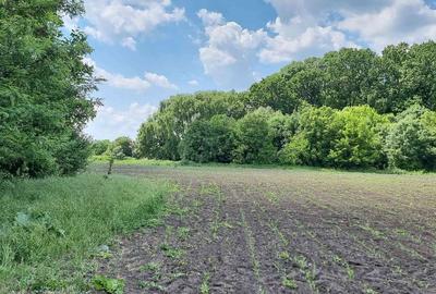 Teren de 4000 mp, în Central - 2