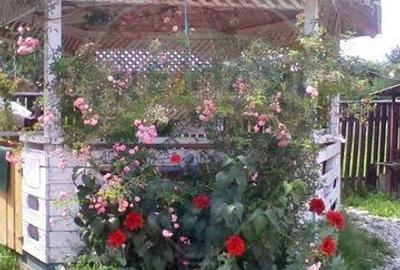 Casă cu 4 camere în Central - 12