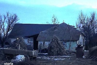 Teren de 4548 mp, în Golăiești - 9